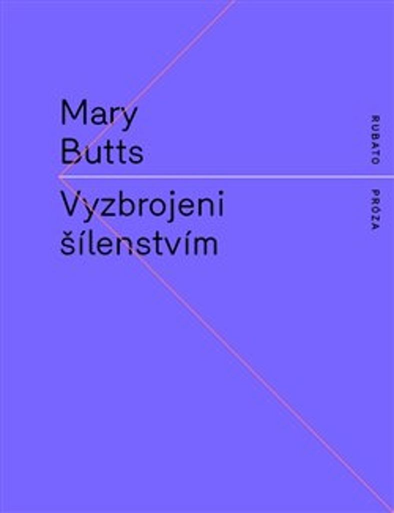 VYZBROJENI ŠÍLENSTVÍM