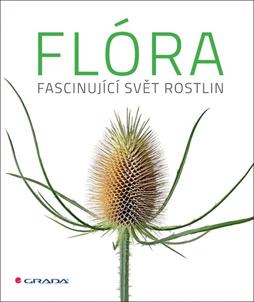 FLÓRA