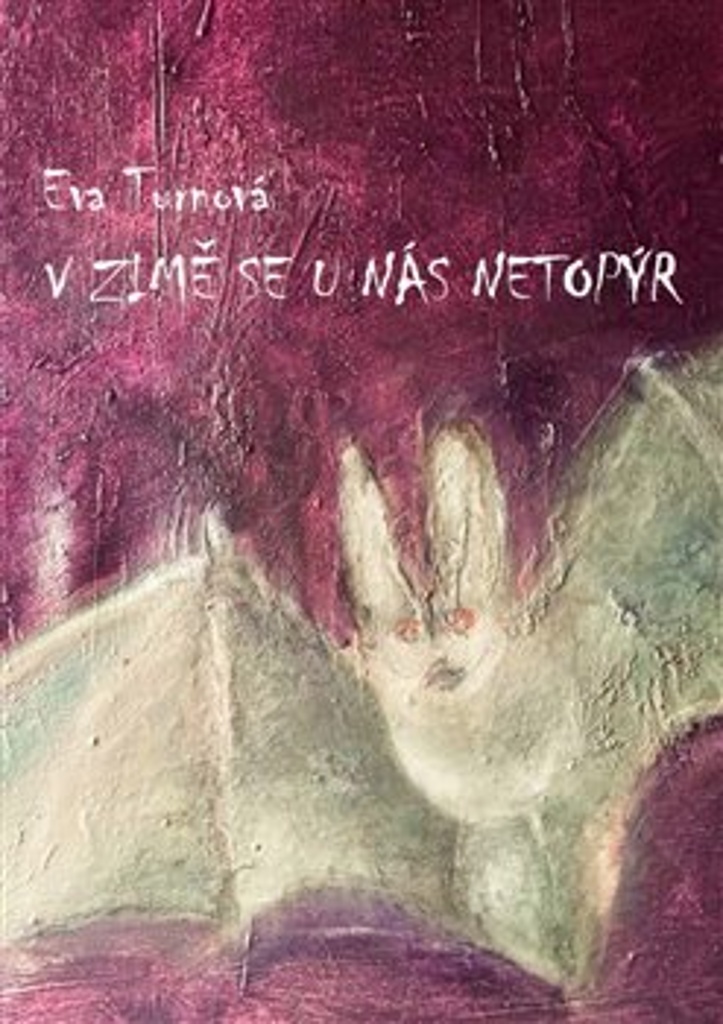 V ZIMĚ SE U NÁS NETOPÝR