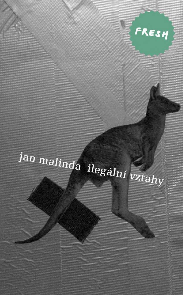 ILEGÁLNÍ VZTAHY