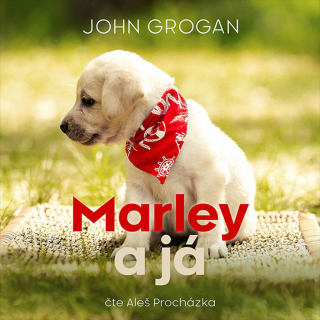 CD MARLEY A JÁ