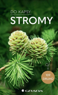 STROMY -  DO KAPSY