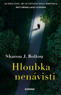 HLOUBKA NENÁVISTI 5 LACEY FLINT
