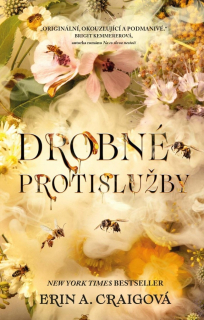 DROBNÉ PROTISLUŽBY