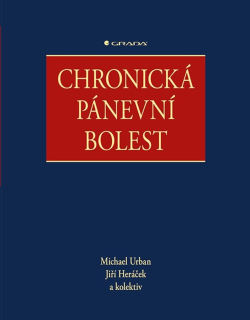 CHRONICKÁ PÁNEVNÍ BOLEST