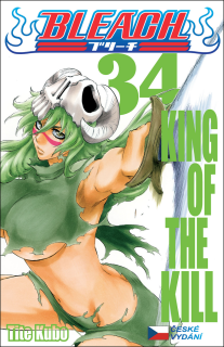 BLEACH 34: KING OF THE KILL