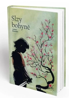 SLZY BOHYNĚ (KOMIKS, V NĚMŽ JSI HRDINKOU)
