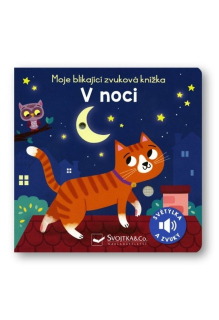 MOJE BLIKAJÍCÍ ZVUKOVÁ KNÍŽKA V NOCI