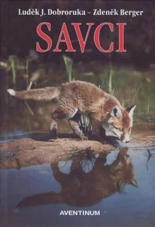 SAVCI