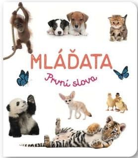 MLÁĎATA PRVNÍ SLOVA