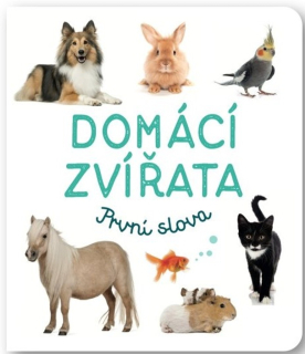 DOMÁCÍ ZVÍŘATA PRVNÍ SLOVA