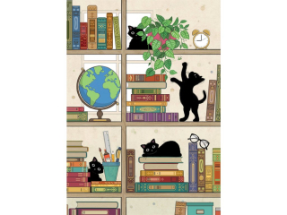 PŘÁNÍ H040 BOOKCASE KITTIES