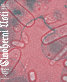 ČINOHERNÍ ÚSTÍ - VE ZNAMENÍ KOVADLINY 19