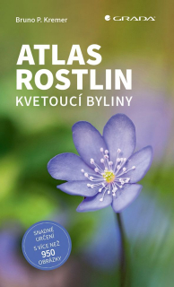 ATLAS ROSTLIN