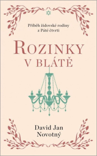 ROZINKY V BLÁTĚ