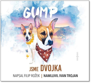 CD GUMP JSME DVOJKA - CDMP3