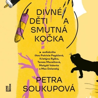 CD DIVNÉ DĚTI A SMUTNÁ KOČKA - CDMP3
