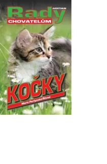 KOČKY