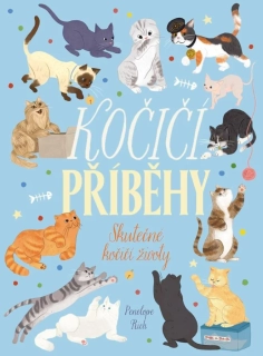 KOČIČÍ PŘÍBĚHY -  SKUTEČNÉ KOČIČÍ ŽIVOTY