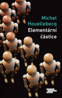 ELEMENTÁRNÍ ČÁSTICE