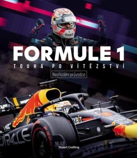 FORMULE 1 - TOUHA PO VÍTĚZSTVÍ