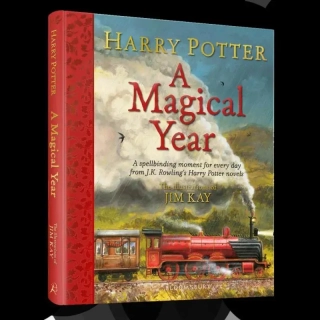 HARRY POTTER - A MAGICAL YEAR