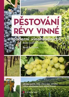 PĚSTOVÁNÍ RÉVY VINNÉ