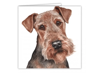 PŘÁNÍ AC-205 WAGGY DOGZ AIRDALE TERRIER