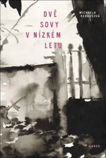DVĚ SOVY V NÍZKÉM LETU