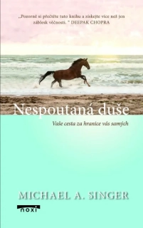 NESPOUTANÁ DUŠE - VAŠE CESTA ZA HRANICE