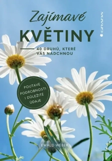 ZAJÍMAVÉ KVĚTINY