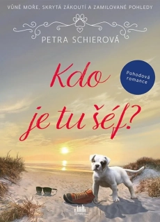 KDO JE TU ŠÉF?