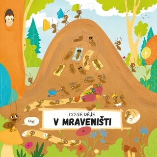 CO SE DĚJE V MRAVENIŠTI
