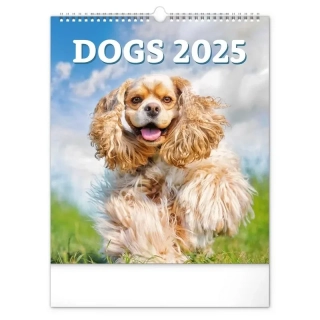 KALENDÁŘ 2025 NÁST: PSI