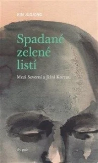 SPADANÉ ZELENÉ LISTÍ   MEZI SEVERNÍ A JIŽNÍ KOREOU