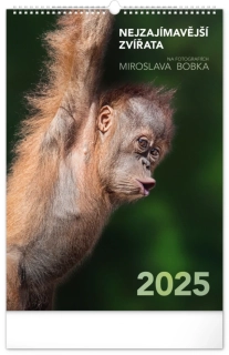 KALENDÁŘ 2025 NÁST: NEJZAJÍMAVĚJŠÍ ZVÍŘATA
