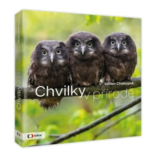 CHVILKY V PŘÍRODĚ