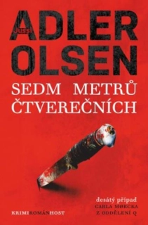 SEDM METRŮ ČTVEREČNÍCH 10 PŘÍPADY ODDĚLENÍ Q