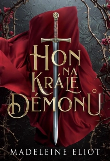 HON NA KRÁLE DÉMONŮ 1 ČARODĚJKA A KRÁL