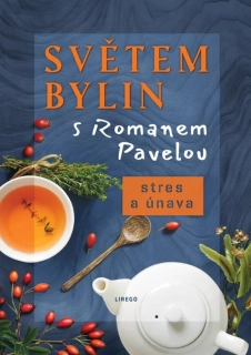 SVĚTEM BYLIN S ROMANEM PAVELOU - STRES A ÚNAVA