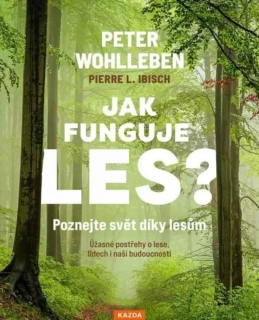 JAK FUNGUJE LES? POZNEJTE SVĚT DÍKY LESŮM