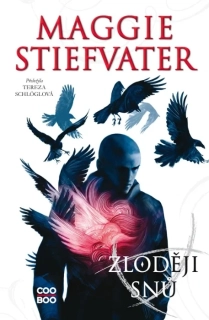 ZLODĚJI SNŮ 2 HAVRANÍ BRATRSTVO