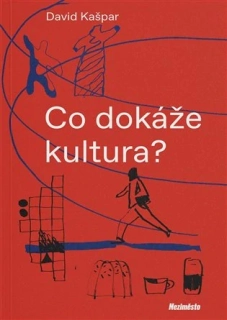 CO DOKÁŽE KULTURA?