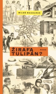 ŽIRAFA NEBO TULIPÁN