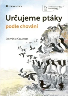 URČUJEME PTÁKY PODLE CHOVÁNÍ