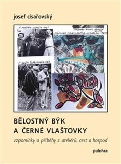 BĚLOSTNÝ BÝK A ČERNÉ VLAŠTOVKY
