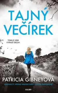 TAJNÝ VEČÍREK 11 INSPEKTORKA LOTTIE PARKEROVÁ