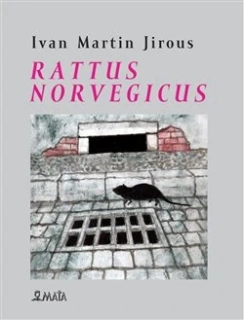 RATTUS NORVEGICUS