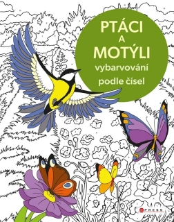 VYBARVOVÁNÍ PODLE ČÍSEL: PTÁCI A MOTÝLI