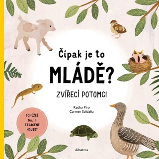 ČÍPAK JE TO MLÁDĚ?